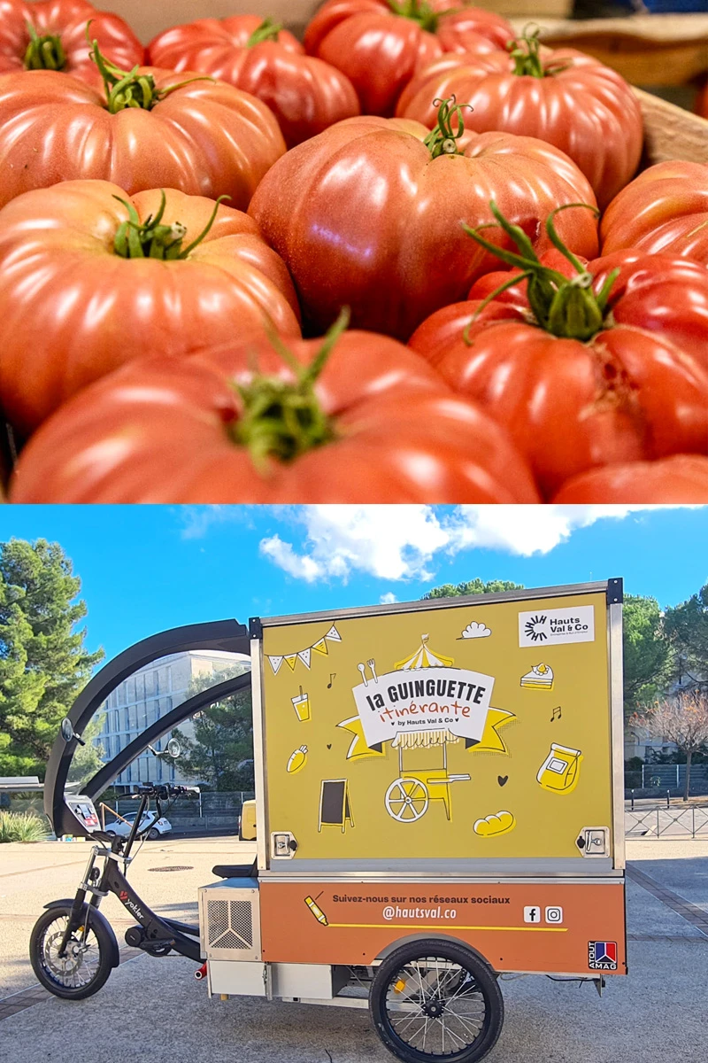 Festival de la tomate à Clapiers