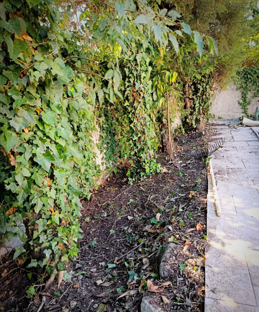 Nous proposons l'entretien de vos extérieurs, jardins, terrasses, haies.