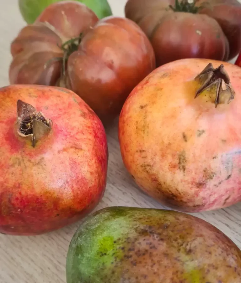 Notre café cantine Mamassane travaille avec des producteurs locaux et des produits de saison