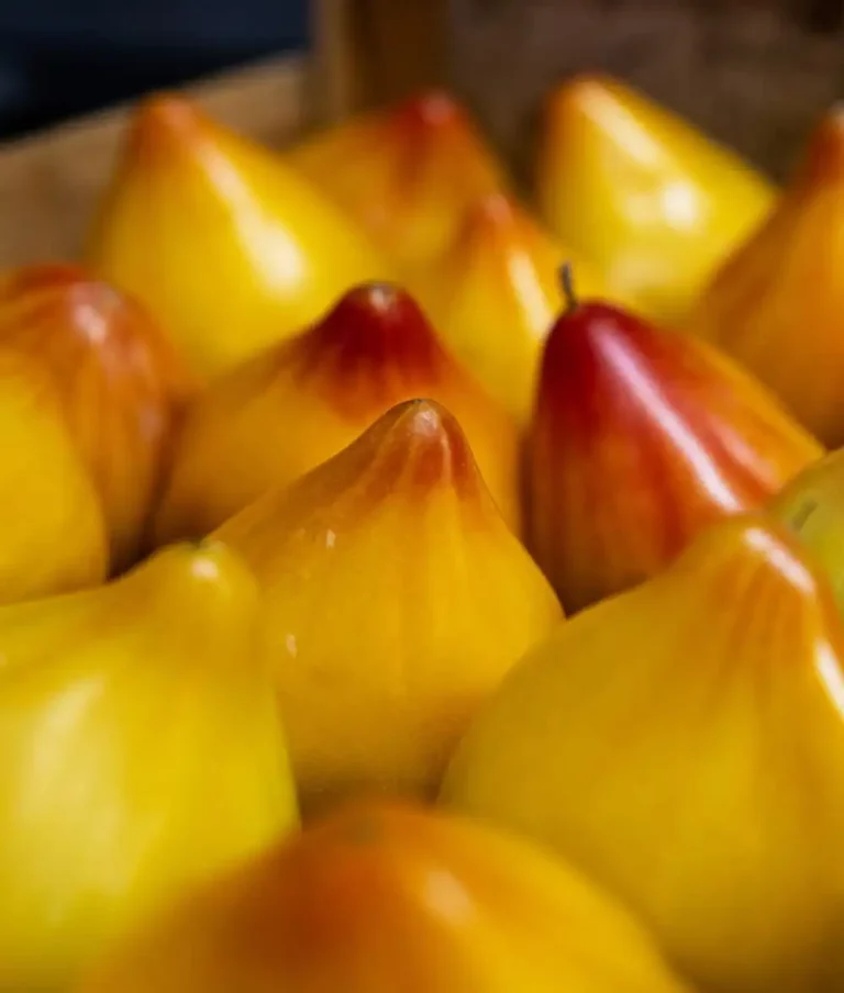 À Mamassane, nous cuisinons avec des produits frais et locaux